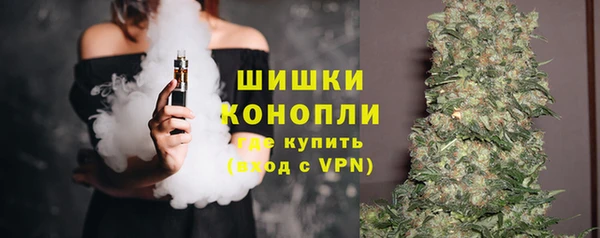 трава Гусиноозёрск