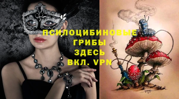 apvp Горнозаводск