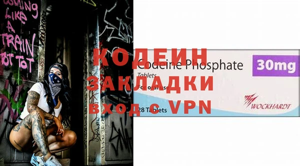 трава Гусиноозёрск