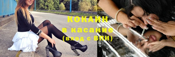 прущие грибы Вяземский