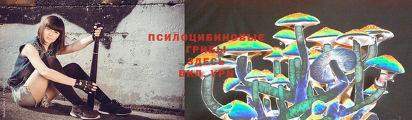 apvp Горнозаводск